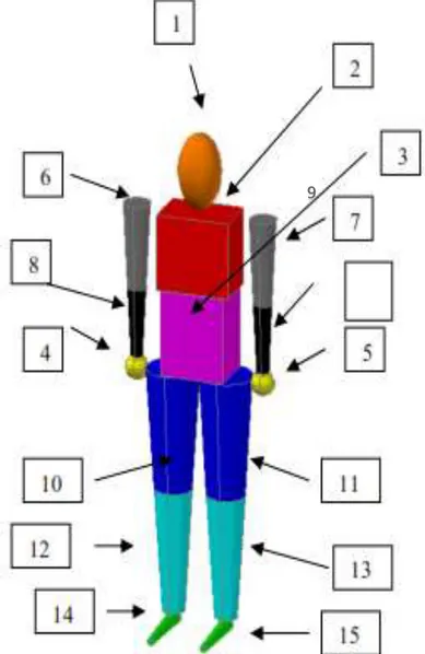 Figura 6. Modelo simplificado del cuerpo humano usando teorías de Hanavan. 
