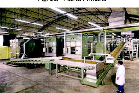 Fig.  2.8  Planta Primaria 