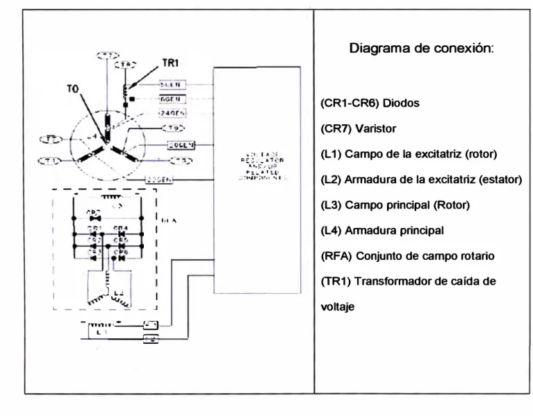 Fig. 3.8 Sistema auto-excitado SE. 
