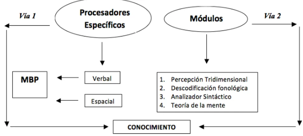 Figura 2. Adaptación del modelo de la arquitectura cognitiva mínima de Anderson (1992)