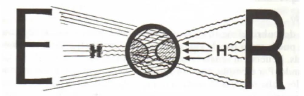 Figura 4. Modelo adaptado de las EAM de Feuerstein 