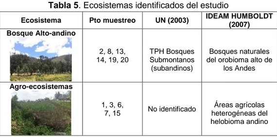 Tabla 5. Ecosistemas identificados del estudio 