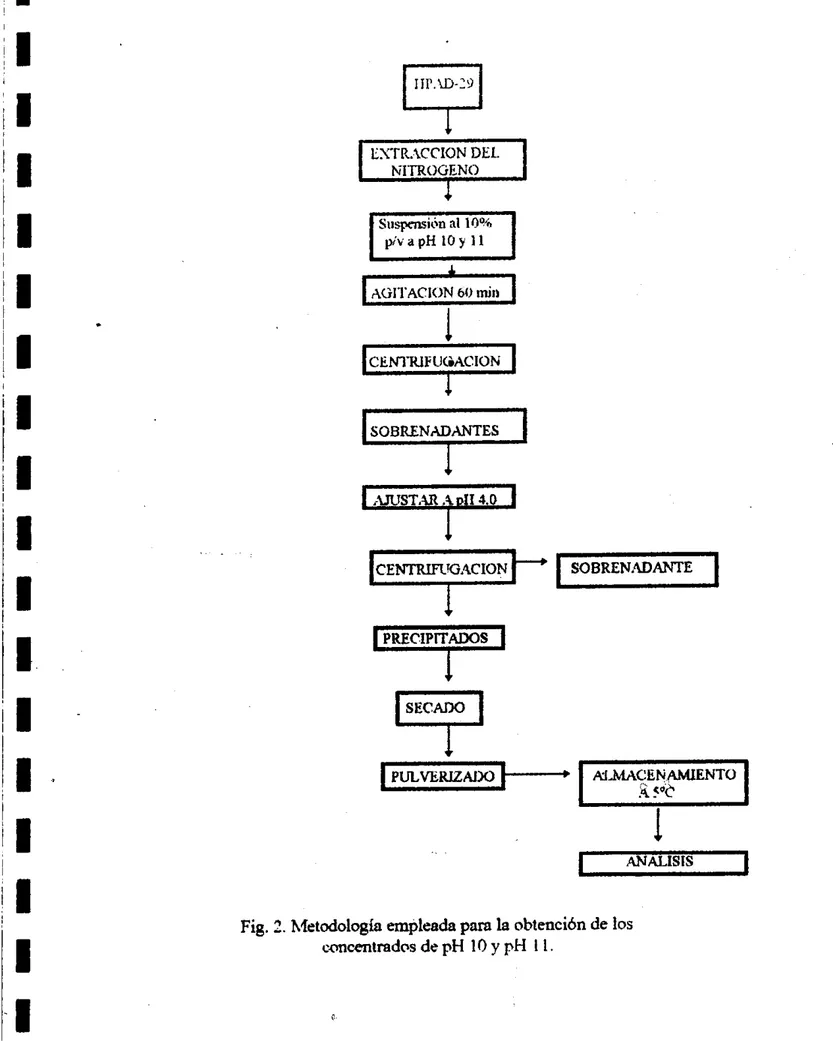 Fig. 1. hfetodologia empleada  parn  la  obienci6n  de  los 