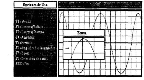 Figura  8.  Arnplificacirjri de  una  sección  de  la  señal  (Zoom]. 