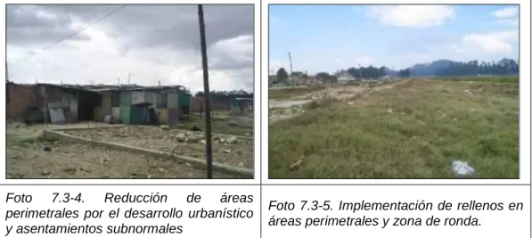 Foto  7.3-4.  Reducción  de  áreas 