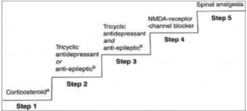 Figura  8.  Escalera  analgésica  para  dolor  neuropático.  Descripción:  En  el  paso  1  puede  considerarse  el  uso  de   corticosteroides  pero  depende  de  las  características  del  dolor,  en  el  paso  2  se  utilizan  antidepresivos  tricíclico