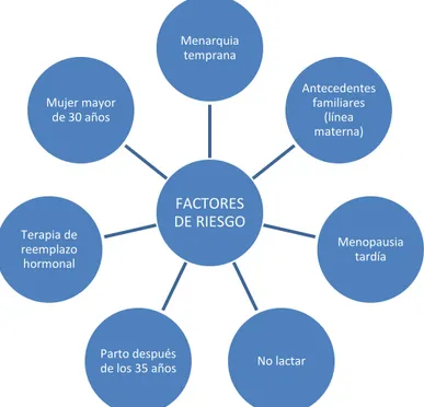 Figura 8. Principales factores de riesgo del cáncer de seno.   Fuente: Autora 