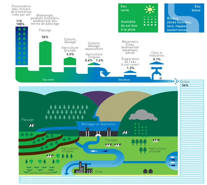 Figure 1 : utilisation d’eau par l’agriculture pluviale et irriguée