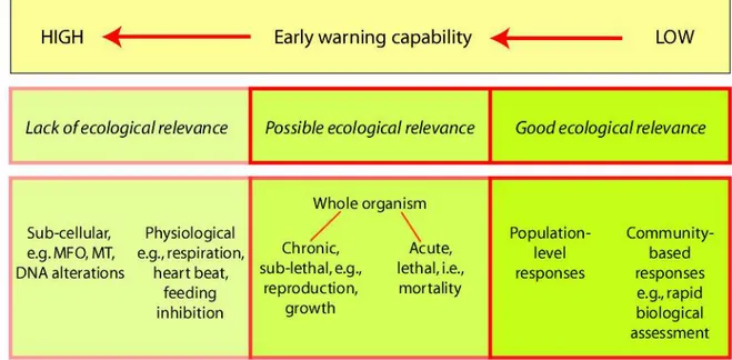 Figure 4. Relationship of ecological relevance and early warning capability to measurable  biological responses (from Resolution VII.10, Handbook 18, 4 th  edition, 2010) 