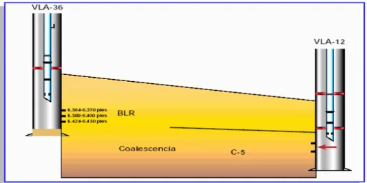 Figura 8 : Corte geológico entre los Pozos VLA-36 y VLA-12, indicando la  comunicación de los yacimientos C-5 y BLR