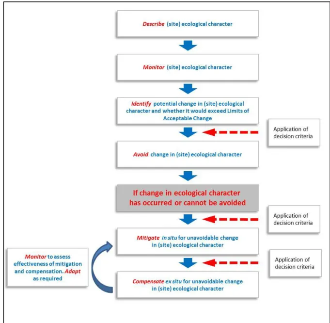 Figure 1. The conceptual framework for avoiding, mitigating and compensating for  wetland losses 