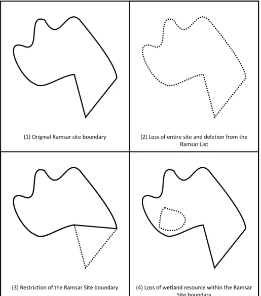 Figure 43. Scenarios for changes to a Ramsar site 