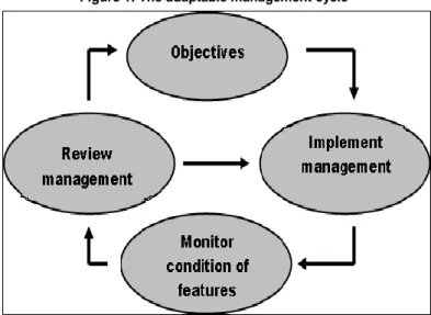 Figure 1: The adaptable management cycle