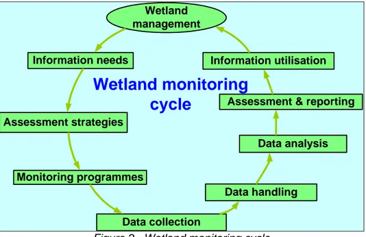 Figure 2.  Wetland monitoring cycle 