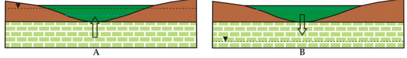 Figure 4. Groundwater discharge and recharge. (A) groundwater discharge – when the aquifer  water table is above the wetland water level; and (B) groundwater recharge – when the wetland 