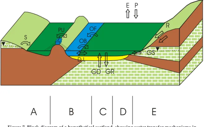 Figure 7. Block diagram of a hypothetical wetland, showing water transfer mechanisms in  different zones