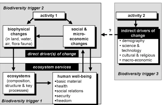 Figure 1. Assessment framework (explanation in main text)