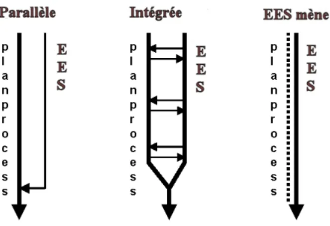 Figure 1 : Combinaisons de l’EES et du processus de planification