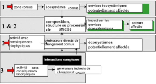 Figure 2. Vue d’ensemble résumée de la procédure pour définir les impacts sur la diversité  biologique en commençant avec un ou une combinaison de déclencheurs de diversité biologique.