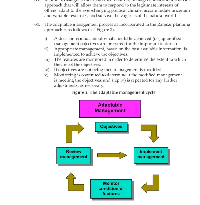 Figure 2. The adaptable management cycle
