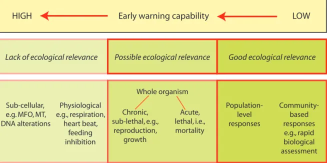Figure 6. Relationship of ecological relevance and early warning capability to measurable  biological responses
