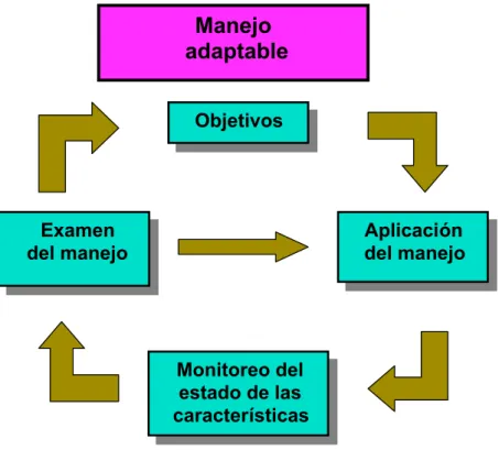 Figura 2. El ciclo del manejo adaptable