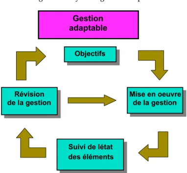 Figure 2. Le cycle de gestion adaptable
