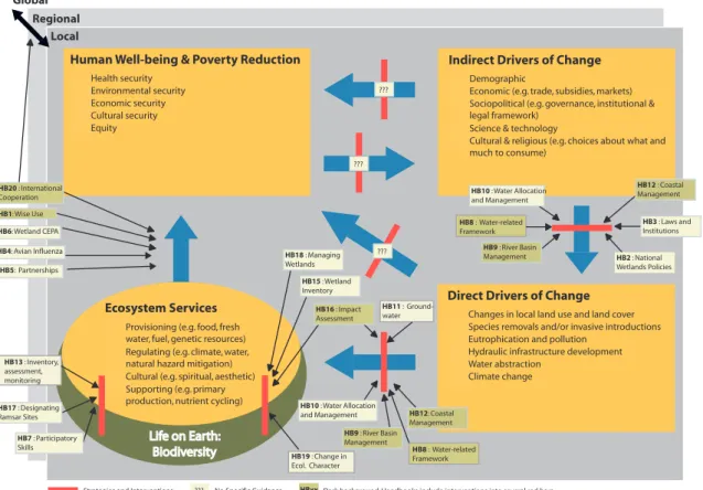 Figure 1. A Conceptual Framework for the Wise Use of Wetlands and the maintenance of their ecological  character, and the application of the guidelines in the Ramsar ‘toolkit’ of Wise Use Handbooks 4th edition 