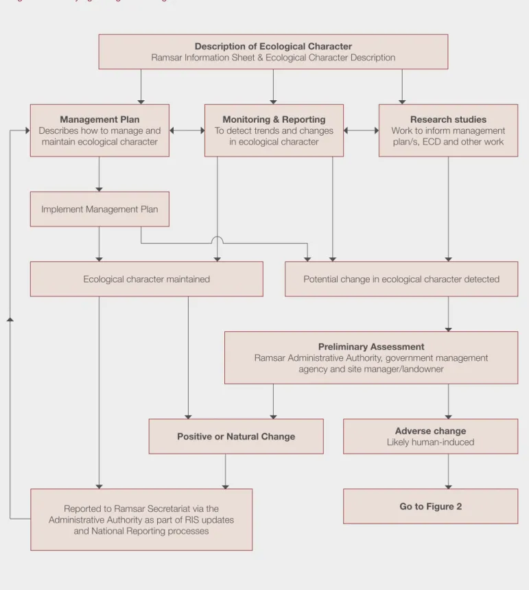 Figure 1. Identifying change in ecological character.