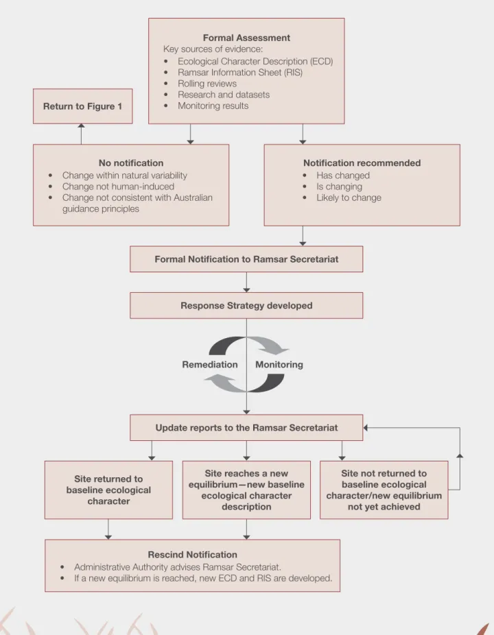 Figure 2. Formally assessing and notifying change in ecological character.