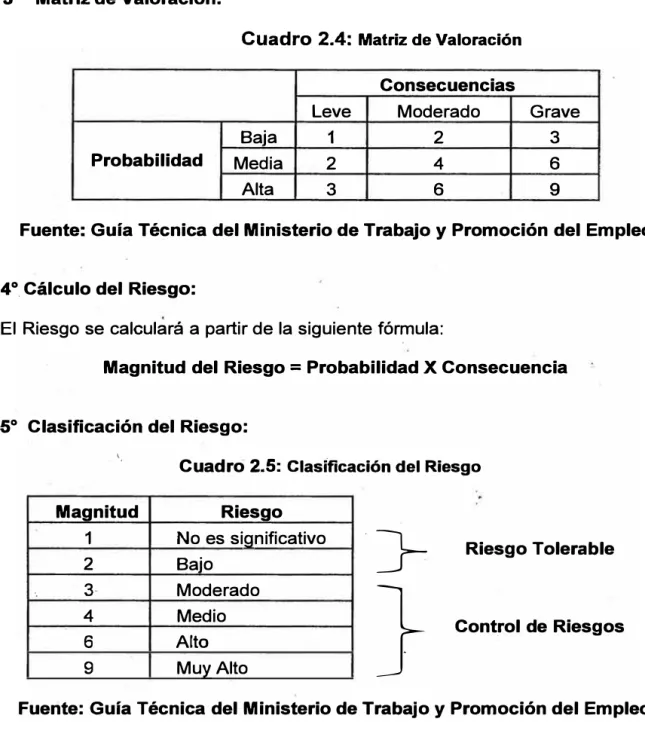Cuadro  2.4:  Matriz de Valoración  Consecuencias 