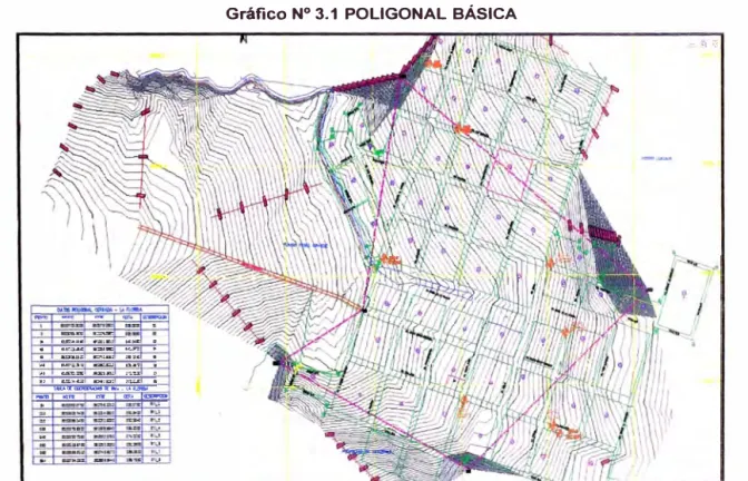Gráfico N º  3.1  POLIGONAL  BÁSICA 