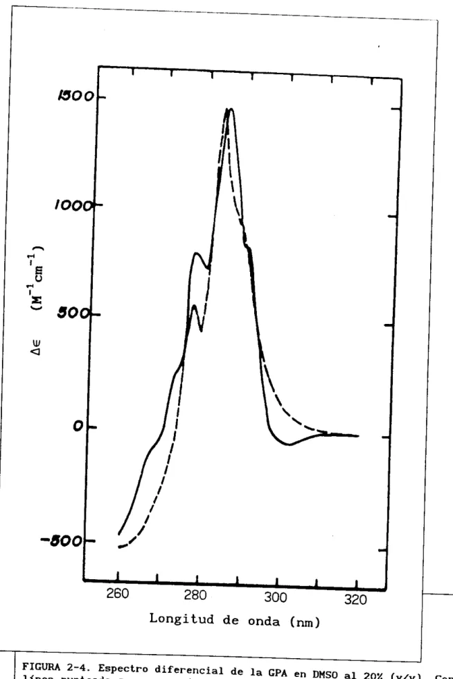 FIGURA  2-4.  Espectro diferencial  de la  GPA  en DMSO al 20% (v/v).  con  línea punteada  se representa la  combinación  lineal  de  los espectros 
