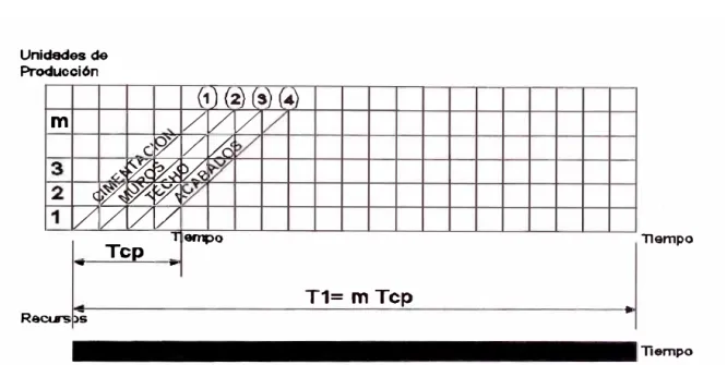 Gráfico N º 2.4 CADENA DE PRODUCCION 