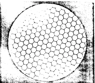 Figure 5.  Fu-ed  imaging multifiber. 