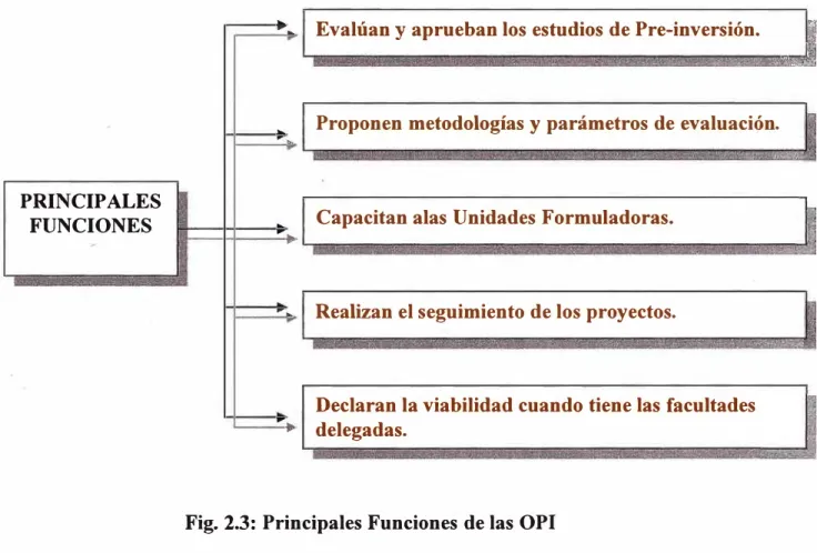 Fig. 2.3: Principales Funciones de las OPI 