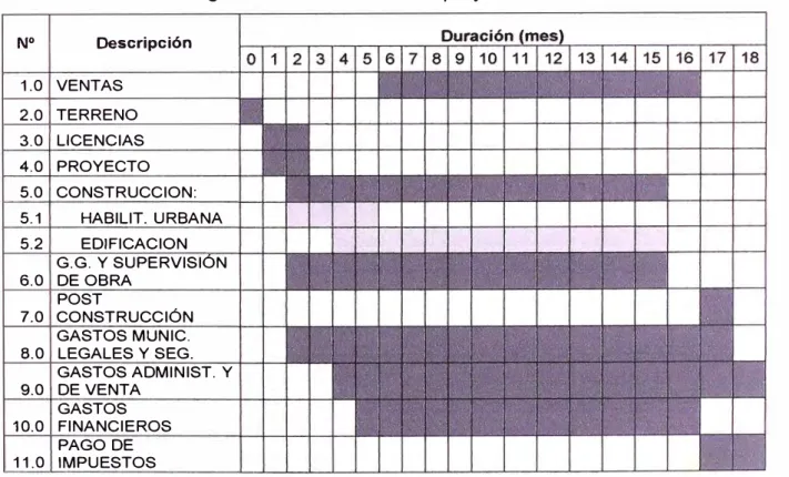 Cuadro N º 1.01: Cronograma de actividades del proyecto. 