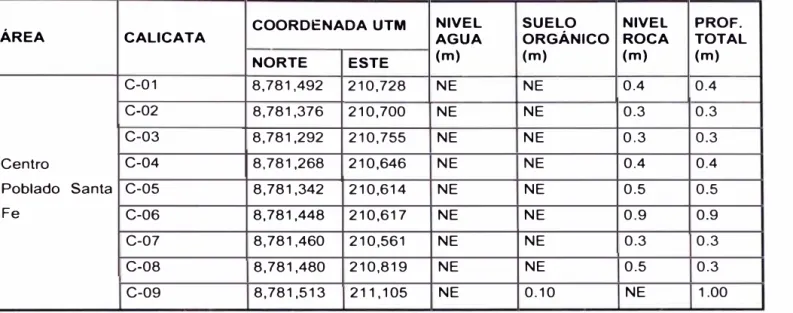 Tabla  N º  4.1  Resumen de calicatas 