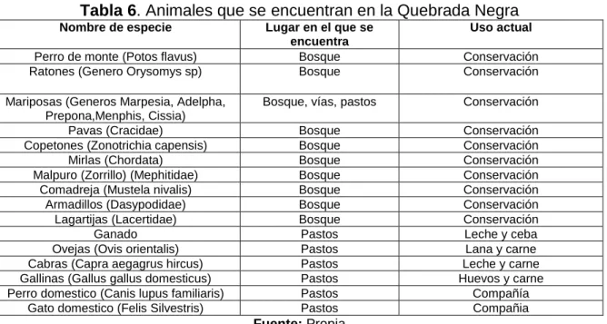 Tabla 6. Animales que se encuentran en la Quebrada Negra 