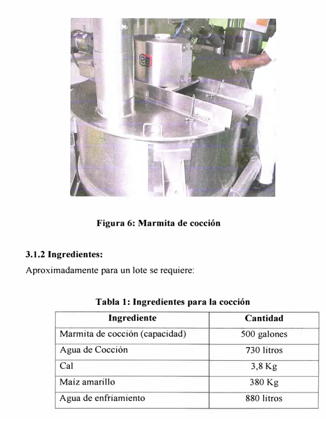 Figura 6: Marmita de cocción 