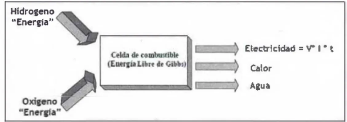 Figura N017:  Esquema de entradas y salidas en el procesamiento de energía en una celda de combustible
