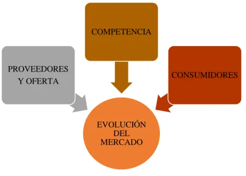Figura N°. 4. EVOLUCIÓN DEL MERCADO. 