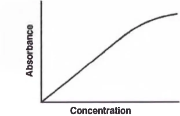 Figura N°2: Concentración vs absorbancia