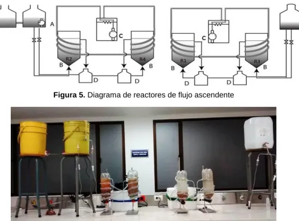 Figura 5. Diagrama de reactores de flujo ascendente 