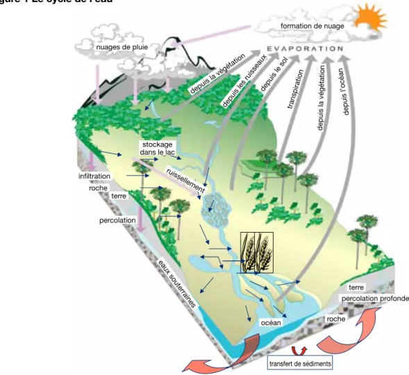 Figure 1 Le cycle de l'eau 