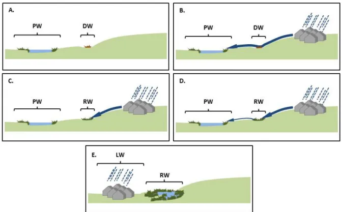 Figure 2. Représentation schématique des possibilités de restauration d’une zone humide pour éviter, atténuer et compenser la perte  ou la dégradation