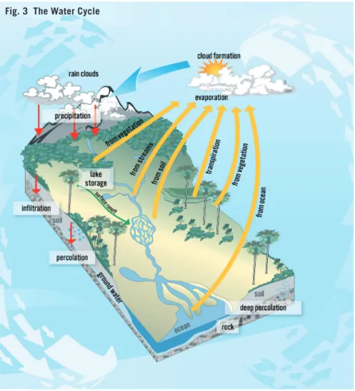 Fig. 3  The Water Cycle