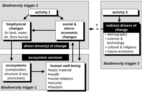 Figure 1. Assessment framework (explanation in main text) 