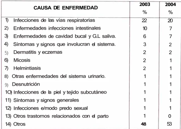 Cuadro 06:  Principales causas de morbilidad 2003-2004  Fuente:  Centro de  Salud de  Nuevo  Imperial 