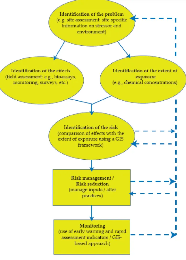 Figure 1. Model for wetland risk assessment (Ramsar Convention Secretariat 2007a) 